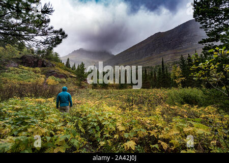 Eine Person in einer blauen Jacke mit einer erstaunlichen Landschaft im Hintergrund mit Fall calors, Montana. Stockfoto