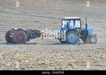 Traktor Pflügen eines Feldes. Bauer im Traktor Vorbereitung land mit saatbeet Kultivator, Sonnenuntergang geschossen Stockfoto