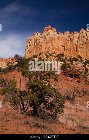 Sedimentgestein, Burr Trail, in der Nähe von Boulder, UT. Stockfoto