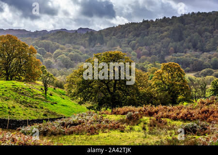 Elterwater Dorf, Great Langdale Valley, Lake District National Park, Cumbria, England, UK gb Stockfoto