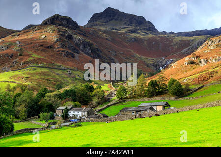 Dungeon Ghyll, Great Langdale Valley, Lake District National Park, Cumbria, England, UK gb Stockfoto