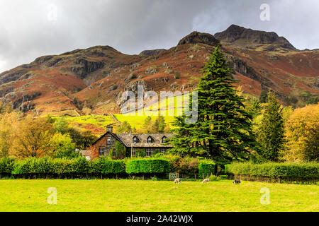 Dungeon Ghyll, Great Langdale Valley, Lake District National Park, Cumbria, England, UK gb Stockfoto