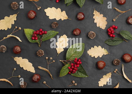 Herbstarrangement auf Schwarz. Konker, Eichenblätter, Cotoneaster Beeren, Limettenbäume (Tilia x europaea) Früchte auf schwarzem Hintergrund. UK Stockfoto
