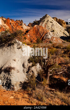 Skurrile und surreal "Candyland" Landschaft entlang der Cottonwood Canyon Road im Grand Staircase Escalante National Monument in Utah. Stockfoto