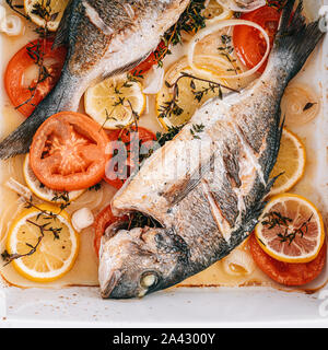 Gebratene Dorade mit Zitronen, Tomaten und Thymian Stockfoto