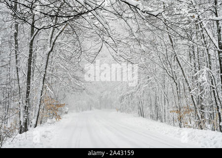 Michigan Winter auf die verschneite Straße Stockfoto