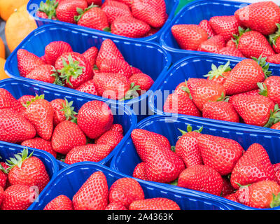 Bio Erdbeeren Shop Stockfoto