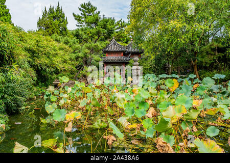 Shanghai Nanxiang Altstadt Canal City malerischen Guyi Gongyuan Chinesischer Garten mit Pavillon und Seerosen am See Stockfoto