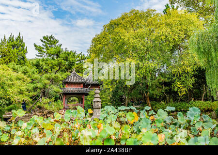 Shanghai Nanxiang Altstadt Canal City malerischen Guyi Gongyuan Chinesischer Garten mit Pavillon und Seerosen am See Stockfoto