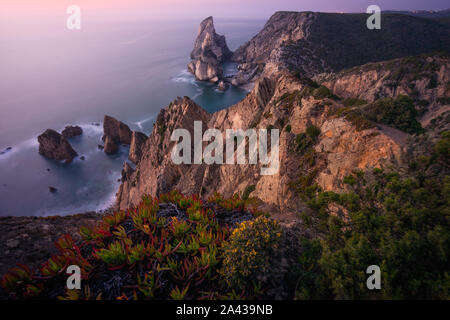 Praia da Ursa Strand. Rocky vorne, mit einige gelbe Blumen in den Sonnenuntergang beleuchtet. Surreale Landschaft in Sintra, Portugal. Atlantik Küste Stockfoto