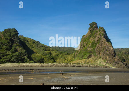 Anzeigen Cliff um von Karakere Beach, North Island Stockfoto