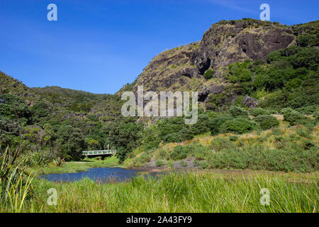 Anzeigen Cliff um von Karakere Beach, North Island Stockfoto