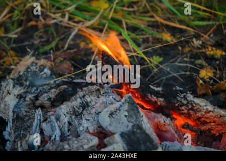 Textur der brennenden Kohle in ein Lagerfeuer. In der Nähe von Flammen zwischen den Holzkohlen. Stockfoto