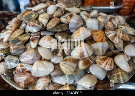 Chon Buri, Thailand - 16. März 2019: Nong Mon Markt. Nahaufnahme des großen Haufen von Multi-color frischen Muscheln auf dem Display am Stand. Stockfoto