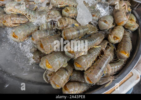 Chon Buri, Thailand - 16. März 2019: Nong Mon Markt. Nahaufnahme der Stapel der kopflose grau beige frische Garnelen auf vereisten Platte. Stockfoto
