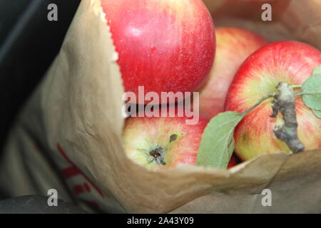 Frisch Äpfel in einer Papiertüte abgeholt Stockfoto