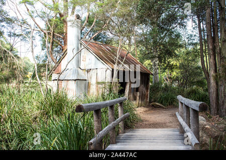 Alte australische Holz- Bush shack Haus mit Wellblechdach, Holz- brücke zum Eingang von Eukalyptus Gummi Bäumen Stockfoto