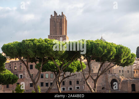 Palatin Rom mit Regenschirm Pinien im Vordergrund und Tower hinter Stockfoto