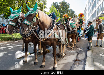 Dekoriert mit der Kutsche an der traditionellen Eröffnungs-Parade, Oktoberfest, Oktoberfest, Bayern, Deutschland, Europa Stockfoto