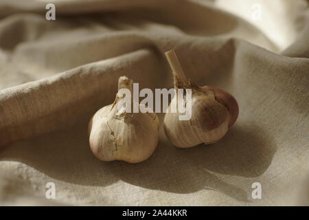 Zwei Knoblauch Zwiebeln auf einem vintage Leinen Tischdecke Stockfoto