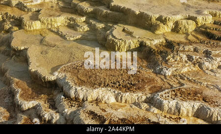 Ansicht schließen von mineralischen Ablagerungen in Mammoth Quellen in Yellowstone Stockfoto