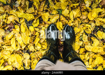 Füße in Olivgrün Gummistiefel in einem Haufen von Gefallenen gelbe Blätter stehen. Stockfoto