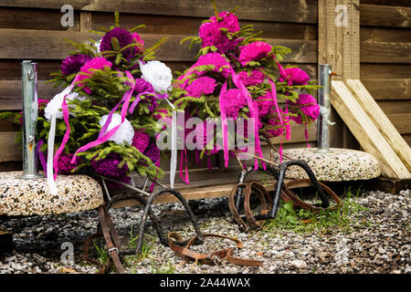 Blumenschmuck für Kühe und die wandertierhaltung Ereignis in Charmey, Fribourg, Schweiz Stockfoto