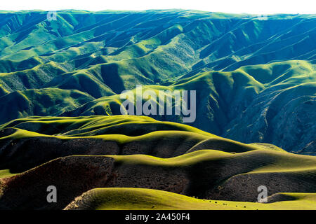 Landschaft der Kalajun Grünland in Tekes County, Ili kasachischen Autonomen Präfektur, Nordwesten Chinas Autonome Region Xinjiang Uygur, 9. Juli 2019. Stockfoto