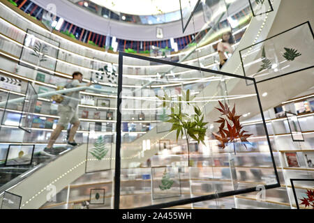 Herbarium in Glasscheibe, verfasst eine 3-Stockwerke hohen Wind chime mit anderen ähnlichen Bereiche in der Stadt Xi'an, Provinz Shaanxi im Südwesten Chinas, 1 A Stockfoto