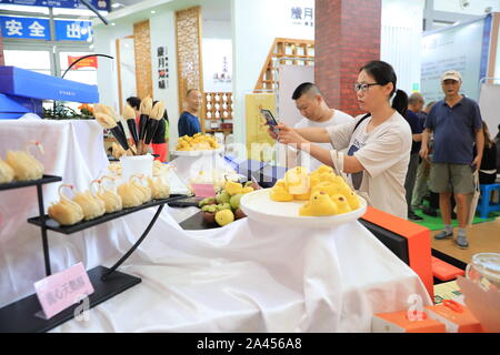 Die Desserts mit der Form von Entenküken sind während der 7. Internationalen Tee Expo in der Stadt Xi'an, Provinz Shaanxi im Nordwesten Chinas, 2 angezeigt Stockfoto