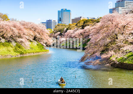 9. April 2019: Tokyo, Japan - Cherry Blossom Futter die Banken oif die Kaiserliche Graben, und ein Boot mit junges Paar rudern. Stockfoto