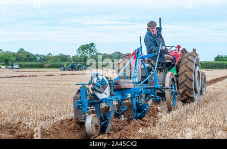 Nocton, Lincoln, Lincolnshire, Großbritannien. 12. Oktober 2019. Über 200 Meister Ackerleute und Frauen aus dem ganzen Land in der Nähe von Lincoln zusammengebaut haben in der 2019 British National Pflügen Meisterschaften zu konkurrieren. Der Wettbewerb umfasst viele Arten von Pflug und Stile des Pflügens auf dem 250 Hektar großen Gelände; einschließlich schwere Pferde, Oldtimer Traktoren und Dampf pflügen Motoren. Die Meisterschaften, jetzt im 69. Jahr, sind von der Gesellschaft der Ackerleute mit dem Ziel der Förderung der organisierten und die Kunst, Fähigkeiten und der Wissenschaft der Pflügen des Landes fördern. Credit: Matt Extremität OBE/Alamy leben Nachrichten Stockfoto