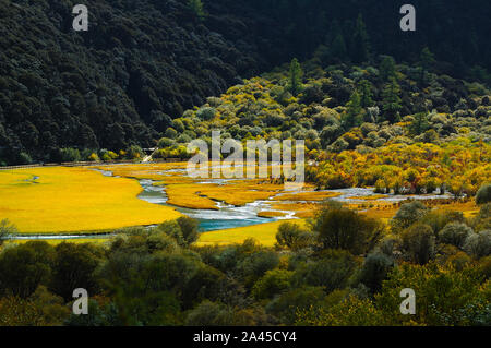 Herbst weint Daocheng Yading in Gelb und Rot in der tibetischen autonomen Präfektur Garze, Süd-westen der chinesischen Provinz Sichuan, 2. September 2019. Stockfoto