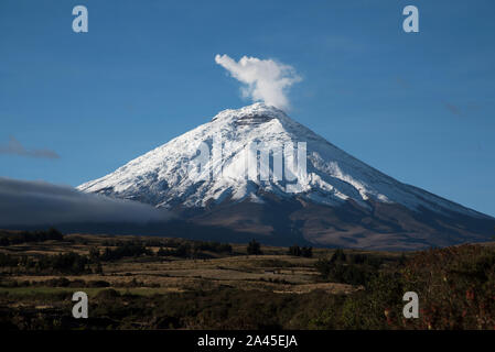 Dampf Eruption am Vulkan Cotopaxi, im Jahr 2016. Dampferuption am Cotopaxi Vulkan im Jahr 2016. Stockfoto