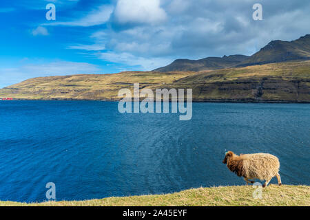 Eysturoy Insel Streymoy Island, Färöer, Dänemark, Europa Stockfoto