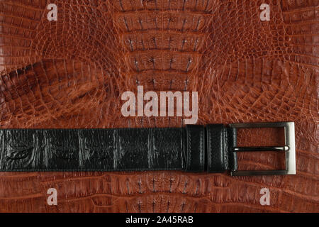 Nahaufnahme, schwarzer Gürtel aus echtem Leder mit der Hand liegt auf braunes Krokodilleder hergestellt. Ansicht von oben. Platz kopieren Stockfoto