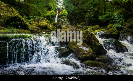 Kleine Kaskade an einem Gebirgsbach oder Creek, zwischen bemoosten Felsen, Wasser unter Steinen, Herbst, Wicklow, Irland fließenden Stockfoto