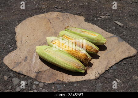 Reifen Mais mit gelbe Körner, teilweise in grüne Blätter gewickelt. Maiskörner auf einem Herzförmigen Ocker Stein gelegt. Um den Stein herum schwarzem Sand. Stockfoto