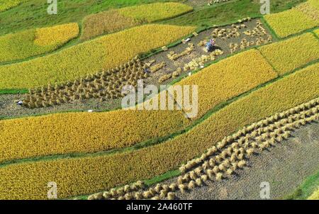 Luftaufnahmen von Ackerland, auf dem Bauern die Ernte an Huaxi Bezirk der Stadt Guiyang, Provinz Guizhou im Südwesten Chinas, 24. September 2019. *** Lo Stockfoto