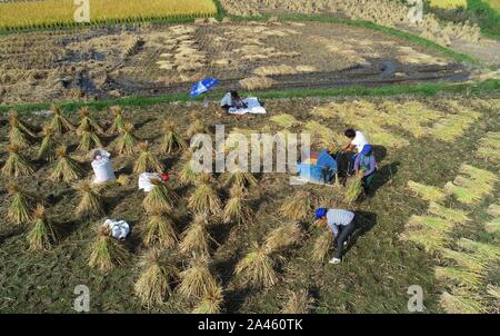 Luftaufnahmen von Ackerland, auf dem Bauern die Ernte an Huaxi Bezirk der Stadt Guiyang, Provinz Guizhou im Südwesten Chinas, 24. September 2019. *** Lo Stockfoto