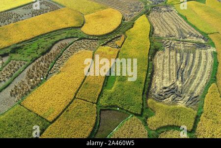 Luftaufnahmen von Ackerland, auf dem Bauern die Ernte an Huaxi Bezirk der Stadt Guiyang, Provinz Guizhou im Südwesten Chinas, 24. September 2019. *** Lo Stockfoto