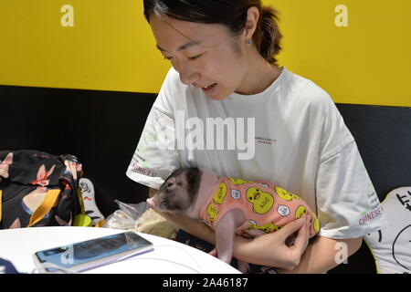 Kunden spielen mit pet-Schweine in einem Dessert store in Chengdu City angehoben, im Südwesten Chinas Provinz Sichuan, 16. September 2019. Stockfoto