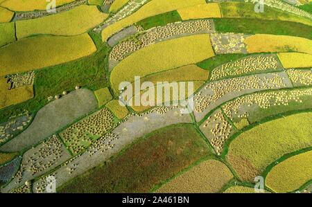 Luftaufnahmen von Ackerland, auf dem Bauern die Ernte an Huaxi Bezirk der Stadt Guiyang, Provinz Guizhou im Südwesten Chinas, 24. September 2019. *** Lo Stockfoto