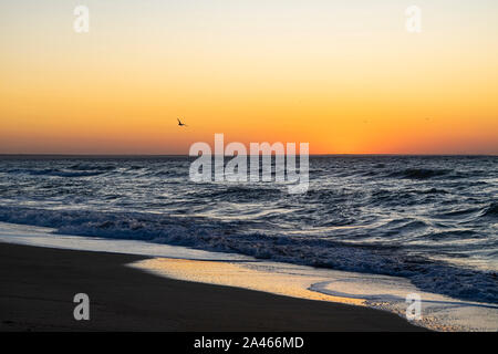 -Scheine und Münzen. Auf einem weißen Hintergrund isolieren Stockfoto