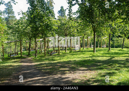 Der Kirschgarten in Alnwick Garden Northumberland, Großbritannien Stockfoto