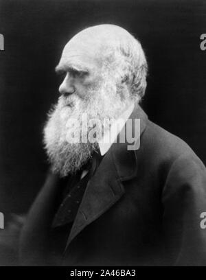 Vintage Portraitfoto von englischen Naturforscher, Geologe und Biologe Charles Darwin (1809 - 1882), dessen berühmte Werke auf evolutionäre Theorie" Über die Entstehung der Arten" 1859 und "Die Abstammung des Menschen" im Jahre 1871. Foto um 1870 von Julia Margaret Cameron. Stockfoto