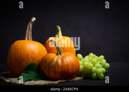 Punkins auf einem urigen Hintergrund für ein Thanksgiving Zusammenfassung Stockfoto