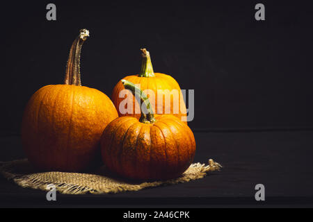 Punkins auf einem urigen Hintergrund für ein Thanksgiving Zusammenfassung Stockfoto