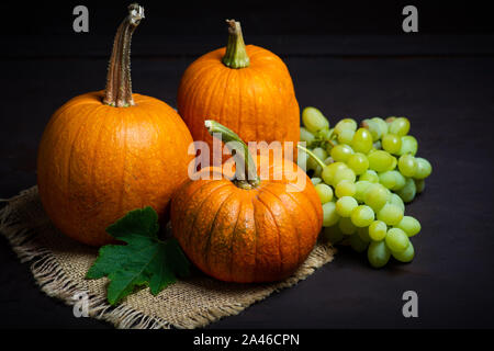 Punkins auf einem urigen Hintergrund für ein Thanksgiving Zusammenfassung Stockfoto