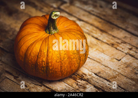 Punkins auf einem urigen Hintergrund für ein Thanksgiving Zusammenfassung Stockfoto